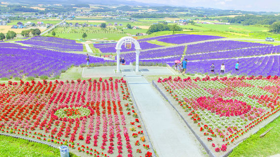Kamifurano