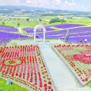 日の出公園