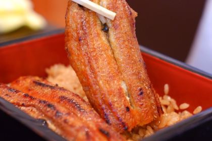 Unagi Notoyokawa
