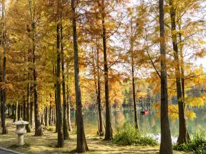 Qingxiu Mountain