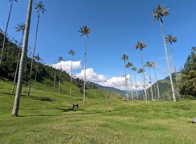 Cocora Valley Anticlockwise Trail Head