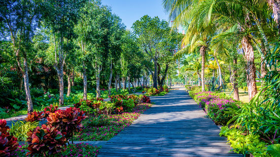 China and Australia's Friendship Garden