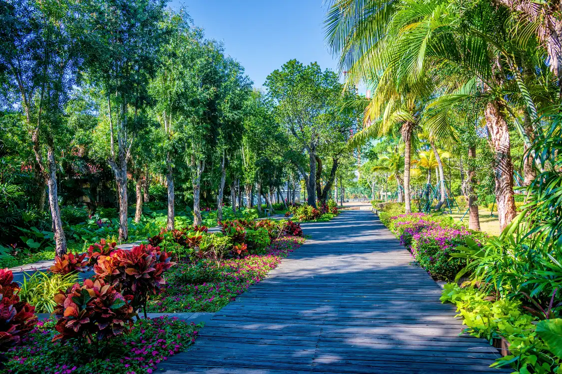 Hotels near China and Australia's Friendship Garden
