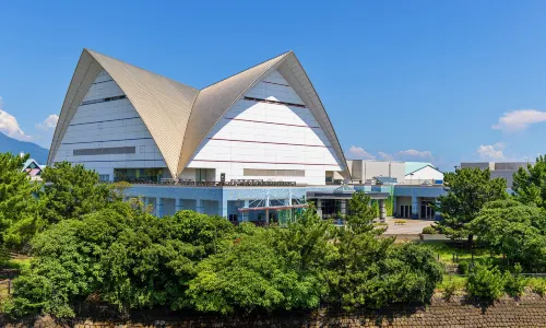 가고시마 수족관