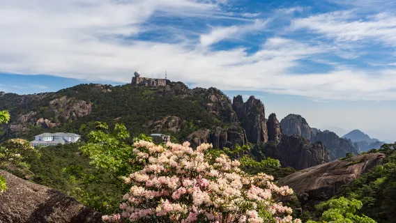 黃山風景區一日遊【免排隊換乘景交直達索道口+登山快人一步】