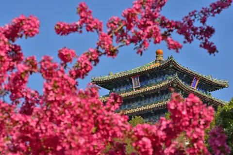 징산 공원(경산 공원)