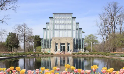 Forest Park