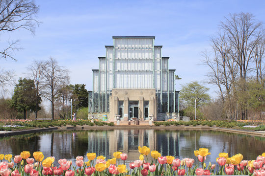 Forest Park