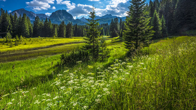 Durmitor National Park