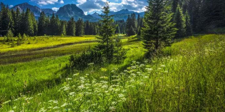 杜米託爾國家公園