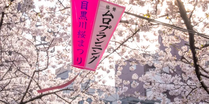 Meguro River image 2