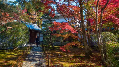 Tōfuku-ji Temple attraction in Kyoto