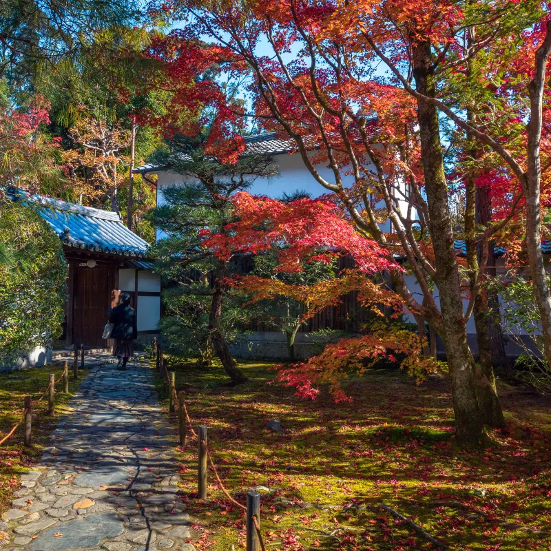 東福寺