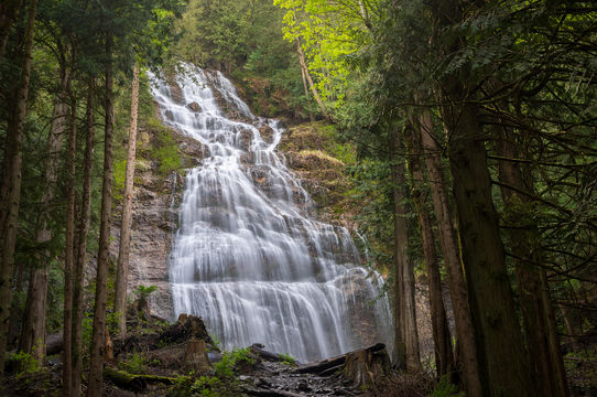Bridal Veil Falls Provincial Park