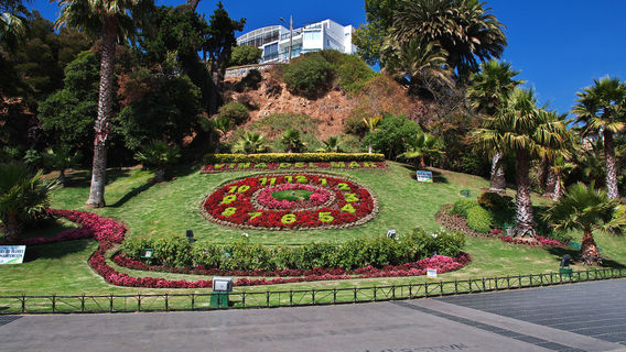 Flower clock