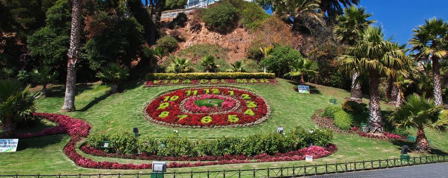 Flower clock