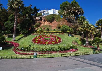 Viña del Mar