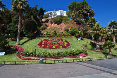 Flower clock