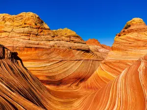 The Wave
