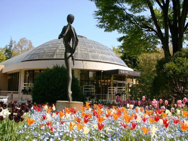 Nagoya Morning Glory Festival | Nagoya