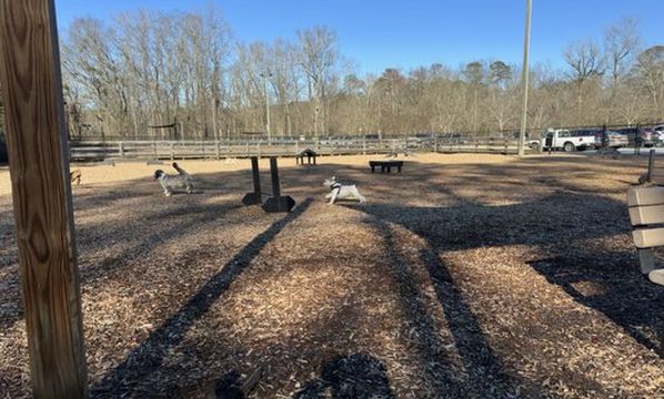 Walker Park Dog Park