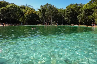 Parco Nazionale di Brasilia