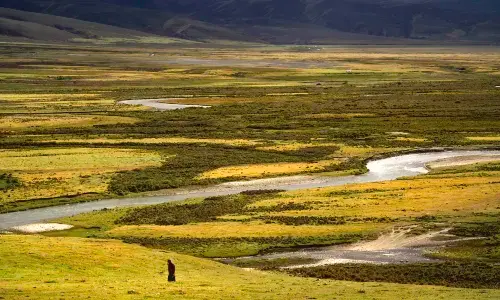 Maoya Grassland