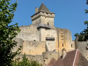 カステルノー城