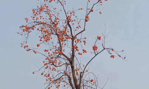 Ancient City of Guoyu