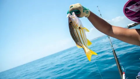 Sea Fishing in Beihai attraction in Beihai