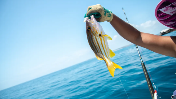 Sea Fishing in Beihai