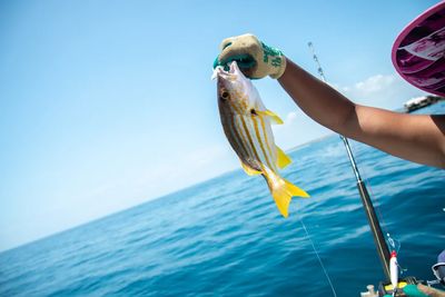 Sea Fishing in Beihai