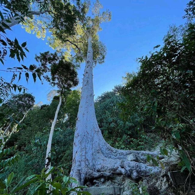 Penang Botanical Gardens