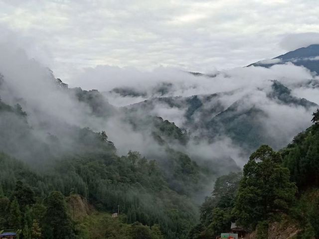 남보산