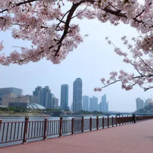 온천천