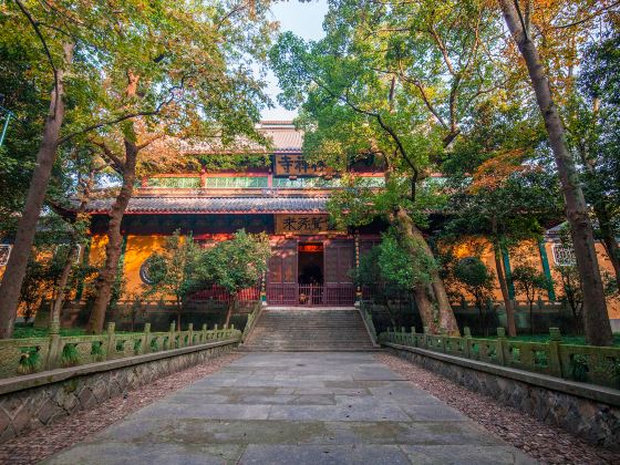 Lingyin Temple