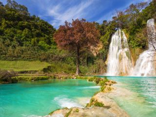볼라리스항공 칸쿤-산루이스포토시