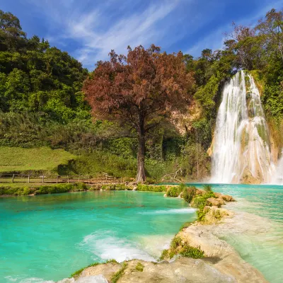 Hotels in Colima With Wi-Fi