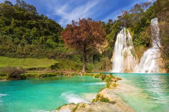 Авиабилеты Сан-Луис-Потоси Оуэнсборо