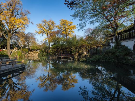 Lingering Garden