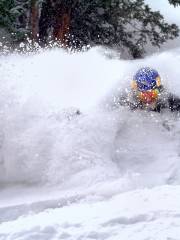 臥虎山滑雪場