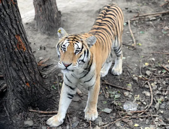 Для бизнес-поездок Отели в г. Синьчжен