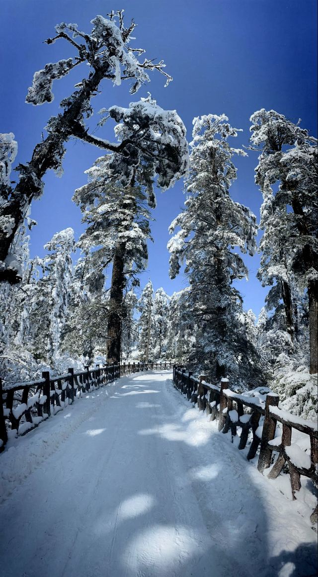 Wawushan Mountain Area