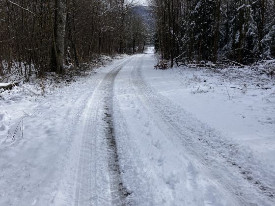 亞布力森林小火車