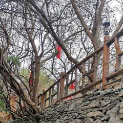 Taopingqiangzhai'ermarenjia User Photo