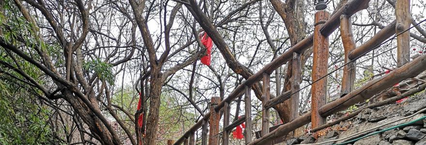 Taopingqiangzhai'ermarenjia