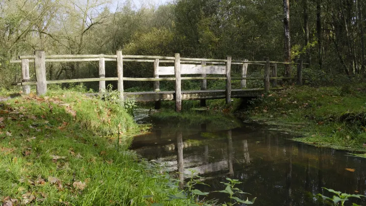 Бутик Отели в г. Энсхеде