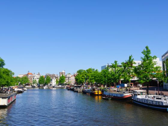 Canals of Amsterdam