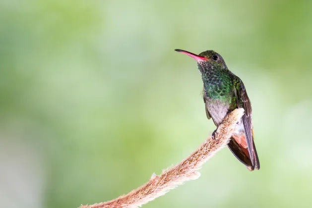 2-звездочные отели в г. Белиз Сити