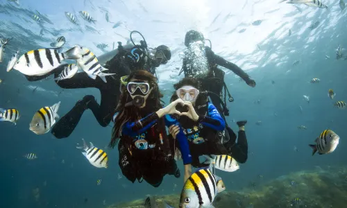Wuzhizhou Island Diving